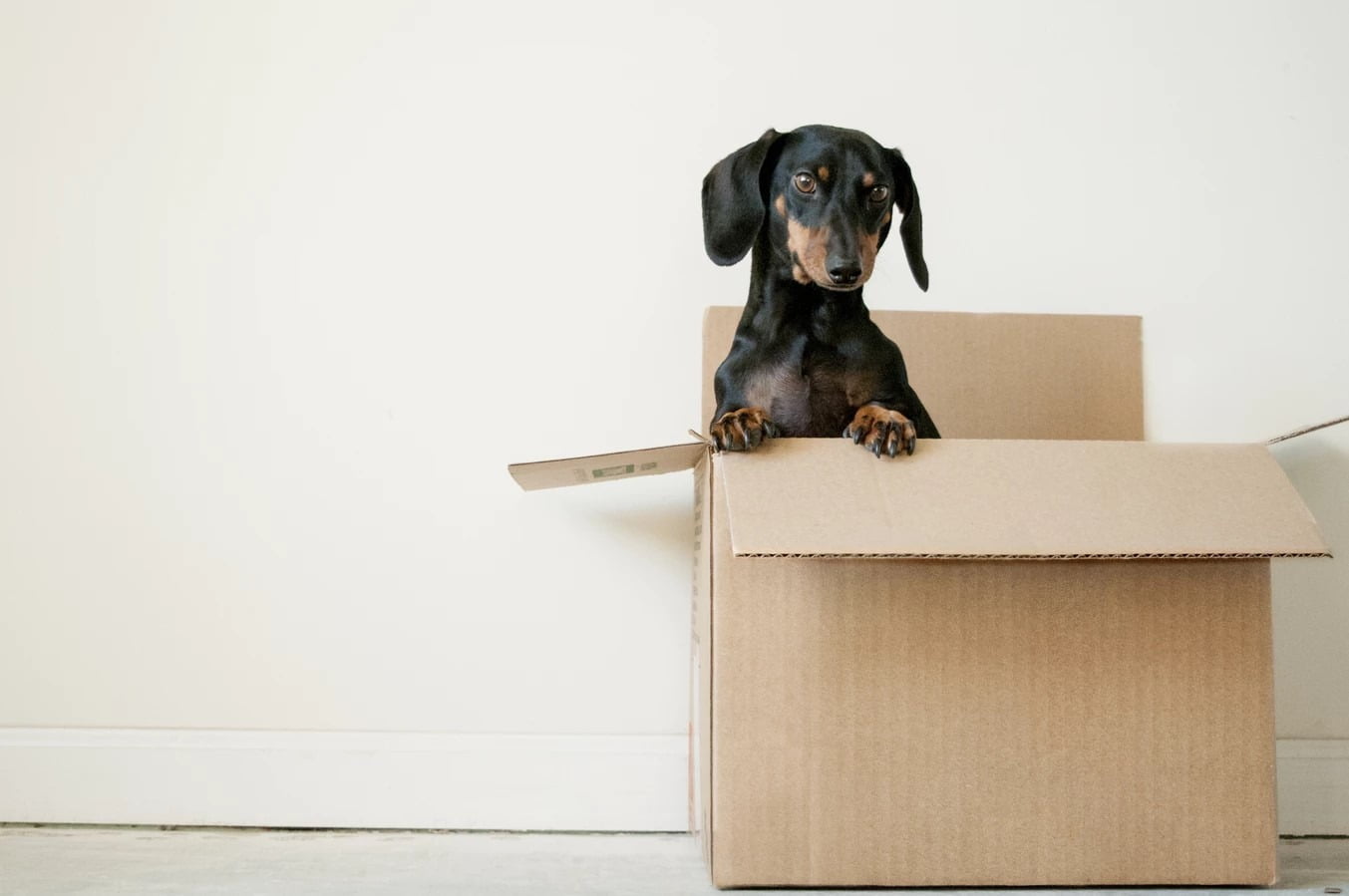 how to declutter before moving into a new house