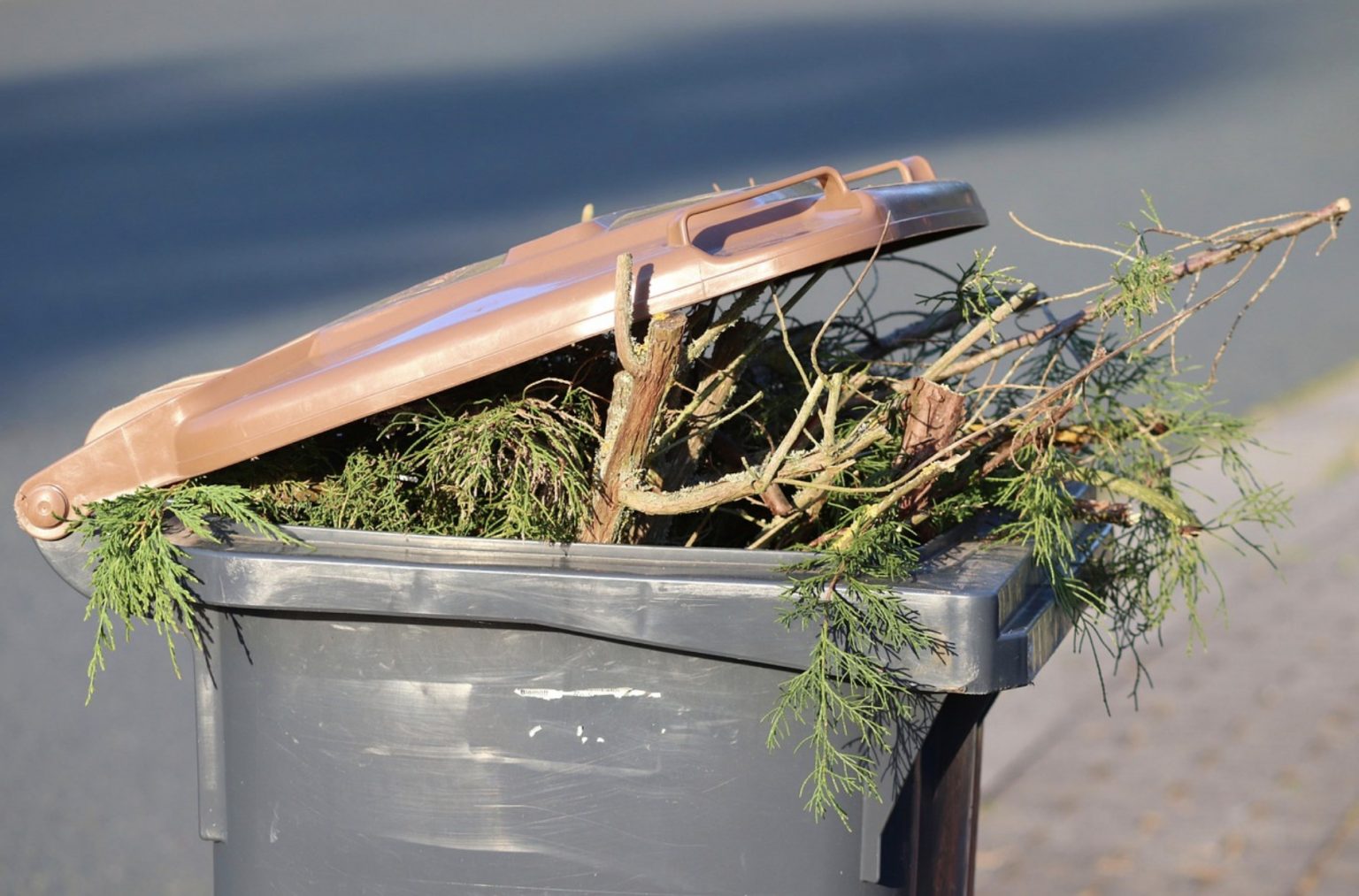 How To Burn Garden Waste Safely Non Burn Alternatives Just Skips How To Burn Garden Waste Safely Non Burn Alternatives Just Skips
