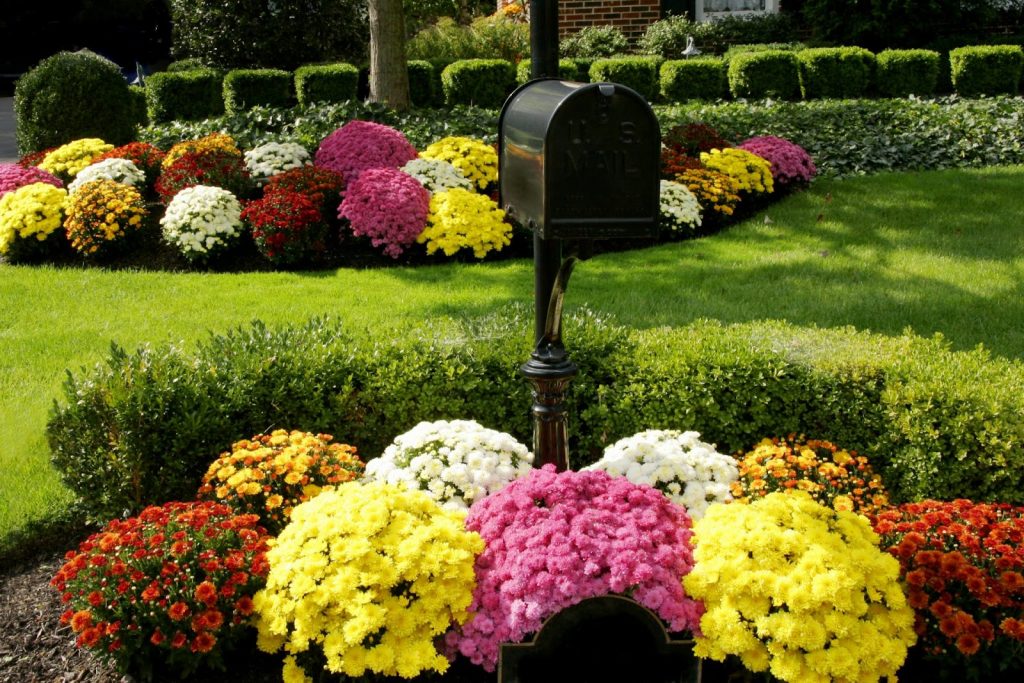 do it yourself landscaping ideas front yard: Build flower beds around trees and mailboxes