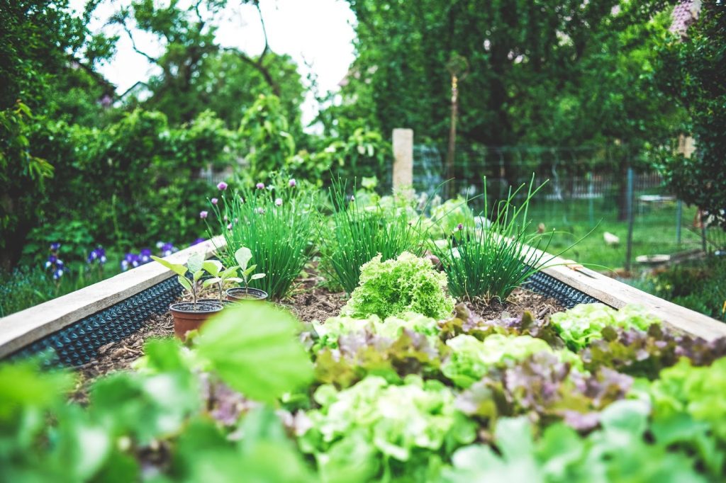 How to make a raised garden bed