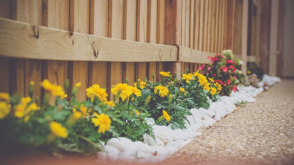 small backyard landscaping ideas